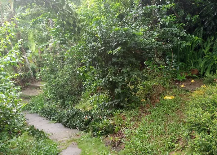 Ilha Grande - Casa Praia Da Longa