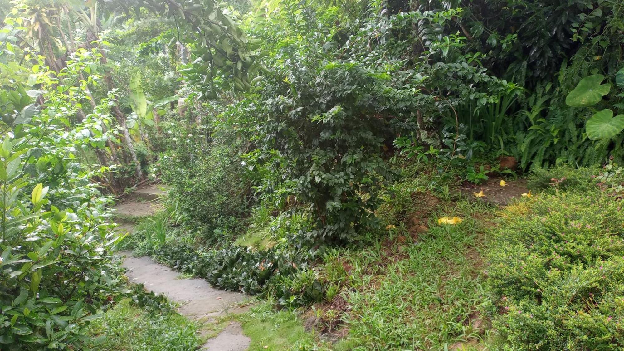 Holiday home Ilha Grande - Casa Da Longa *